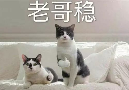 高效學(xué)習(xí)神器：千呼萬(wàn)喚的Anki教程！插圖