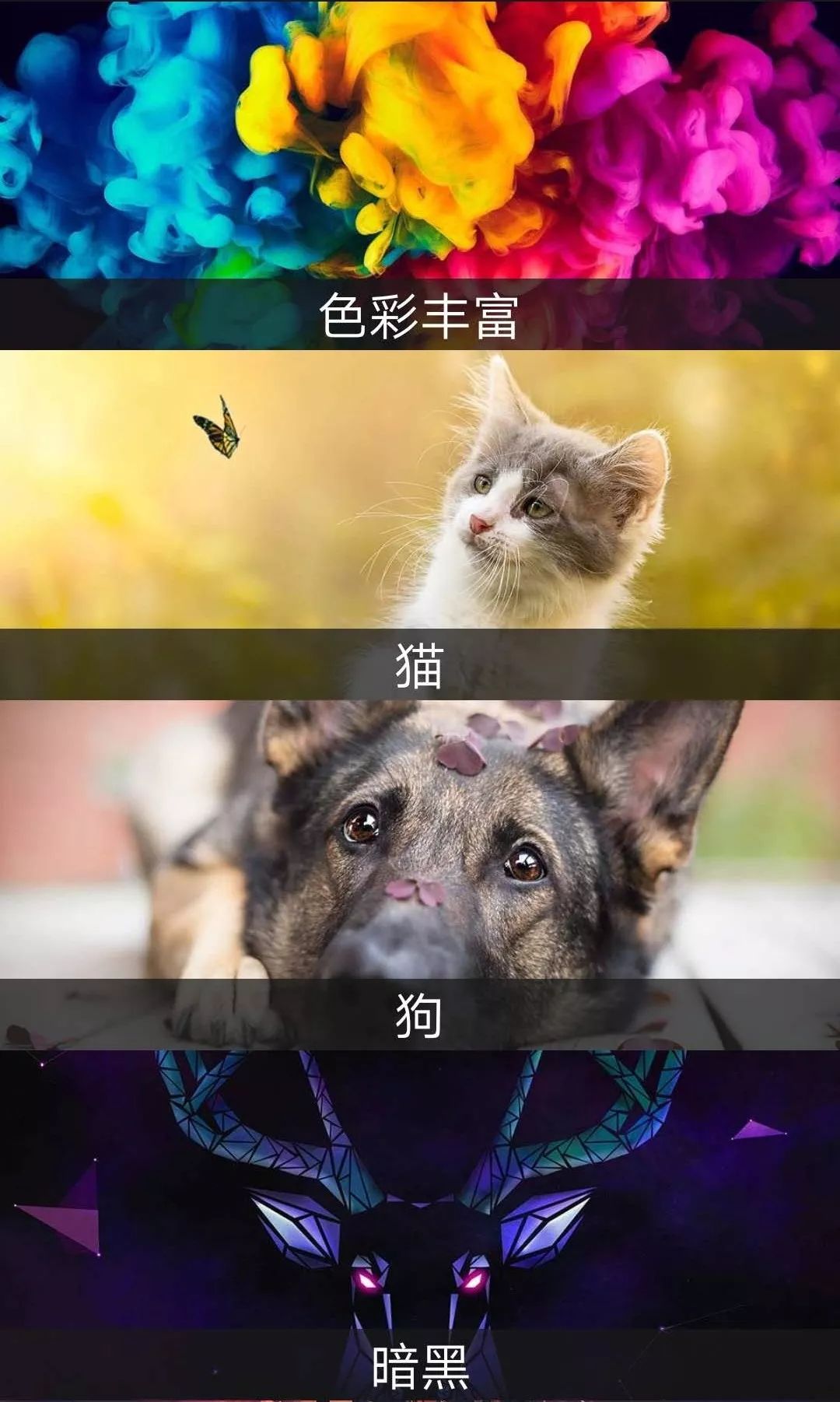 這個(gè)App竟然解鎖了18+VIP，請(qǐng)低調(diào)使用！插圖4
