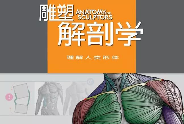 學習資源 | 人類形體雕塑解剖學漢譯彩印全集插圖 學習資源 | 人類形體雕塑解剖學漢譯彩印全集插圖