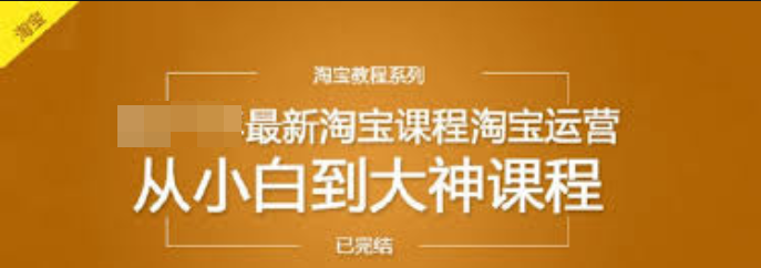 趣資料-從小白到大神，最新淘寶運(yùn)營(yíng)教程插圖