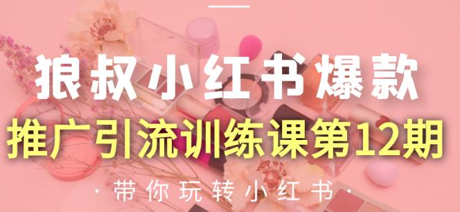 小紅書爆款推廣引流訓(xùn)練課第12期-第1張圖片-學(xué)技樹 小紅書爆款推廣引流訓(xùn)練課第12期-第1張圖片-學(xué)技樹