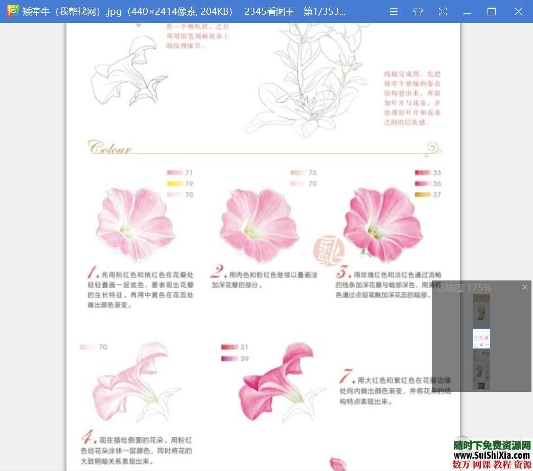 40G最強(qiáng)彩鉛零基礎(chǔ)入門到高手教學(xué)教程，包括大量電子書(shū)和繪畫視頻_趣資料視頻資源插圖7