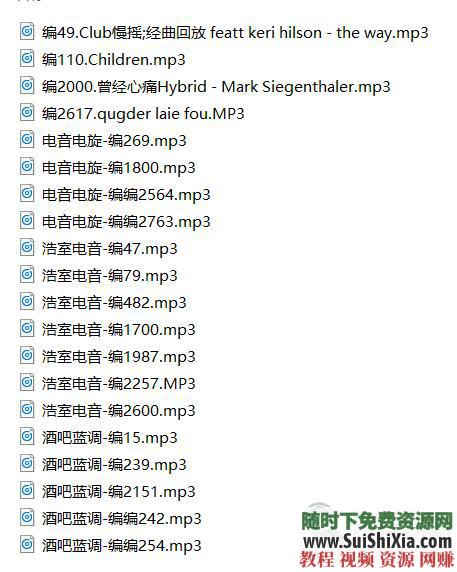 320K無損車載流行MP3音樂舞曲+MP4視頻神曲，共42G幾千首打包分享_趣資料教程資源插圖20