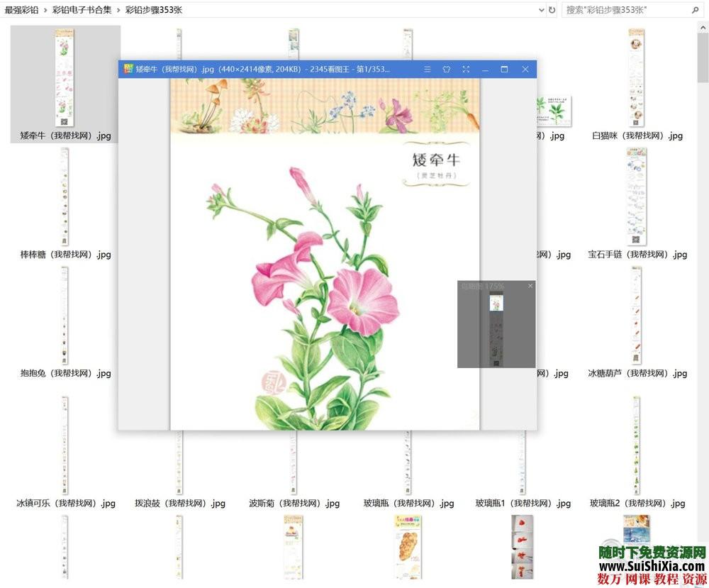 40G最強(qiáng)彩鉛零基礎(chǔ)入門到高手教學(xué)教程，包括大量電子書(shū)和繪畫視頻_趣資料視頻資源插圖6