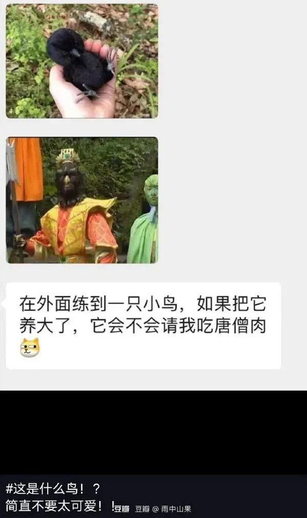 這敞篷跑車的馬力一定很足！插圖19