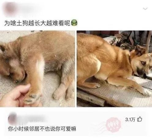 大長(zhǎng)腿一字馬蜘蛛俠？插圖12