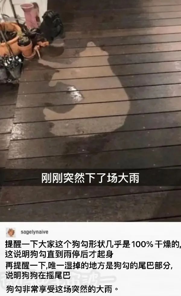 這口罩也太可愛了點(diǎn)吧！插圖22