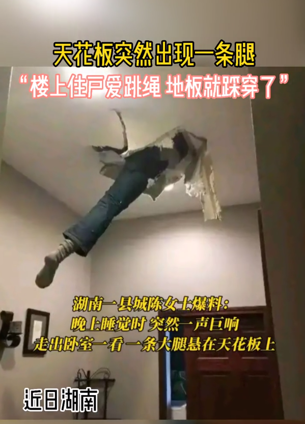 這難道不是傳說(shuō)的微胖??？插圖14