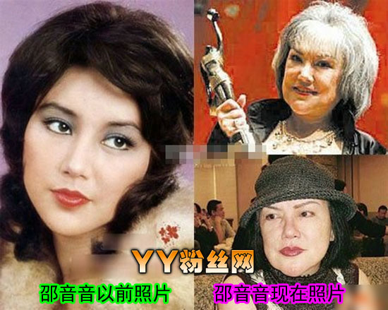 邵音音年輕照片演過(guò)的三級(jí)有哪些 邵音音整容前后照片對(duì)比失敗插圖8