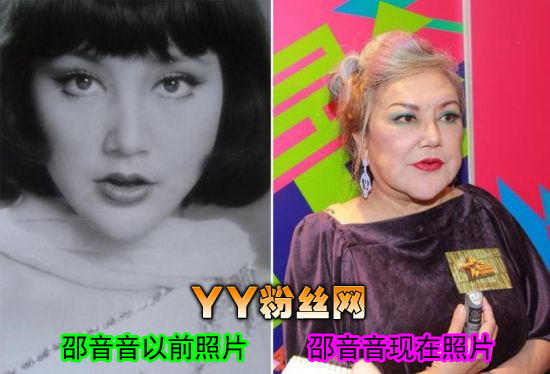 邵音音年輕照片演過(guò)的三級(jí)有哪些 邵音音整容前后照片對(duì)比失敗插圖1