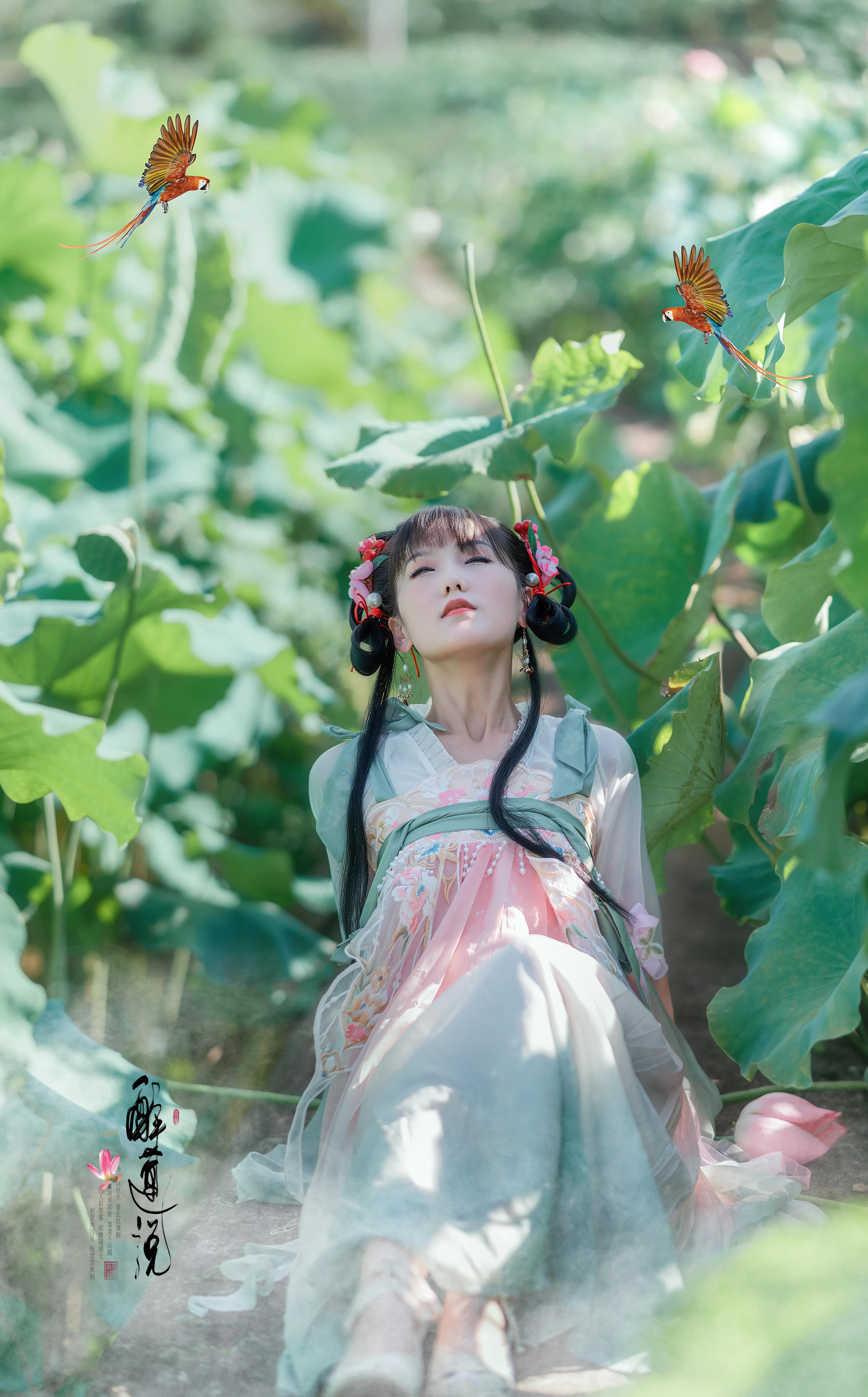 心醉迷，夢(mèng)醉迷。葉鋪池，花開(kāi)池。插圖7