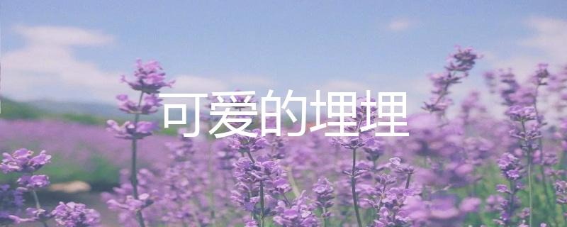 虎牙二次元聲控助眠主播可愛的埋埋人氣為什么這么高？插圖