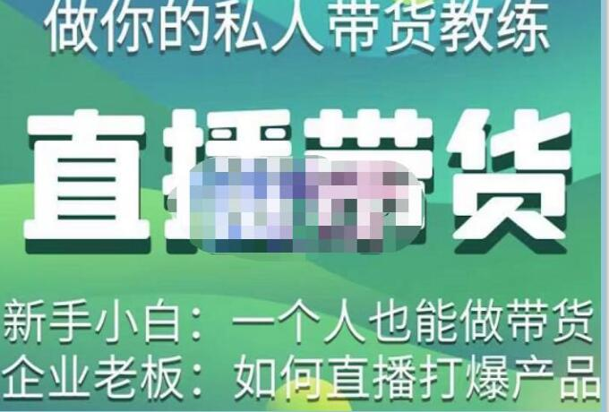硬核傳媒?直播帶貨（私人教練），實操實戰(zhàn)教學百度網盤插圖