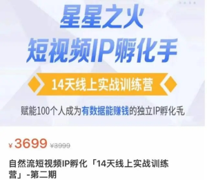 瑤瑤?自然流短視頻IP孵化第二期，成為有數(shù)據(jù)能賺錢(qián)的獨(dú)立IP孵化手百度網(wǎng)盤(pán)插圖