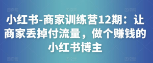 小紅書-商家訓(xùn)練營12期：讓商家丟掉付流量，做賺錢小紅書博主百度網(wǎng)盤插圖