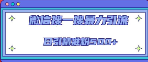 微信搜一搜引流全系列課程，日引精準粉500+（8節(jié)課）百度網(wǎng)盤插圖