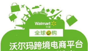 跨境電商沃爾瑪平臺(tái)-從0基礎(chǔ)到入門，沃爾瑪跨境紅利新玩法百度網(wǎng)盤插圖