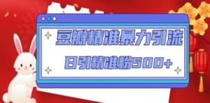 豆瓣精準(zhǔn)暴力引流，日引精準(zhǔn)粉500+【12課時(shí)】百度網(wǎng)盤插圖