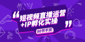 謙四?短視頻直播運營及IP孵化實操，80節(jié)干貨實操分享百度網(wǎng)盤插圖