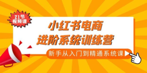 小紅書(shū)電商新手入門(mén)到精通實(shí)操課，從入門(mén)到精通做爆款筆記百度網(wǎng)盤(pán)插圖