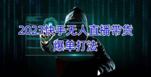 2023快手無人直播帶貨爆單教程，可批量放大操作百度網盤插圖