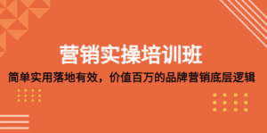 營銷實(shí)操培訓(xùn)班：簡單實(shí)用落地有效，價(jià)值百萬的品牌營銷底層邏輯百度網(wǎng)盤插圖