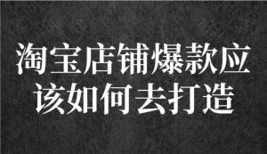 冠東?爆款店鋪淘系爆款選品方法，一個(gè)好選品思路決定是否盈利百度網(wǎng)盤(pán)插圖