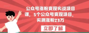 公眾號(hào)漲粉變現(xiàn)實(shí)戰(zhàn)項(xiàng)目課，5個(gè)公眾號(hào)變現(xiàn)，漲粉23萬(wàn)百度網(wǎng)盤(pán)插圖