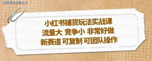 小紅書鋪貨玩法實操課，流量大，競爭小，新賽道可復(fù)制性強團隊操作插圖
