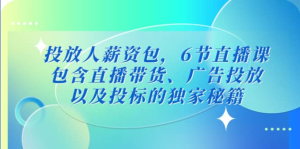 三里屯?投放人薪資包，6節(jié)直播課，直播帶貨、廣告投放獨家秘籍百度網(wǎng)盤插圖