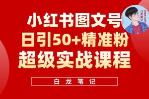 小紅書圖文號日引50+精準(zhǔn)流量，新手小白實(shí)戰(zhàn)的小紅書引流課百度網(wǎng)盤插圖