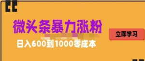 微頭條暴力漲粉技巧搬運(yùn)文案就能漲幾萬粉絲，0成本日賺600百度網(wǎng)盤插圖