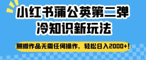 小紅書蒲公英冷知識新玩法，照搬作品賺錢副業(yè)百度網(wǎng)盤插圖