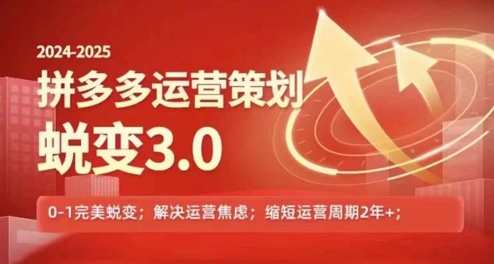 2024-2025拼多多運(yùn)營(yíng)策略蛻變3.0，0~1完美蛻變，解決信息焦慮插圖