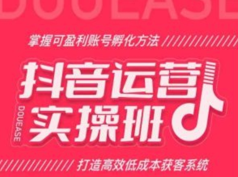 抖音運營實操班，掌握可盈利賬號孵化方法，打造高效低成本獲客系統(tǒng)插圖