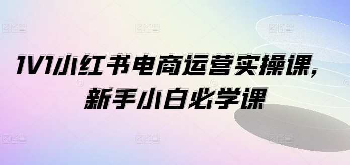 1V1小紅書電商運(yùn)營實(shí)操課，新手小白必學(xué)課插圖