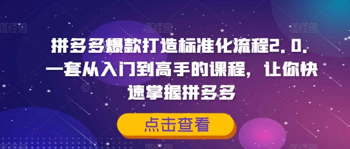 拼多多爆款打造標(biāo)準(zhǔn)化流程2.0，一套從入門到高手的課程，讓你快速掌握拼多多插圖