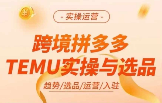 跨境拼多多TEMU實(shí)操與選品，多多temu跨境選品運(yùn)營實(shí)操插圖