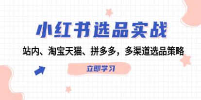 《小紅書選品實(shí)戰(zhàn)》站內(nèi)、淘寶天貓、拼多多，多渠道選品策略插圖