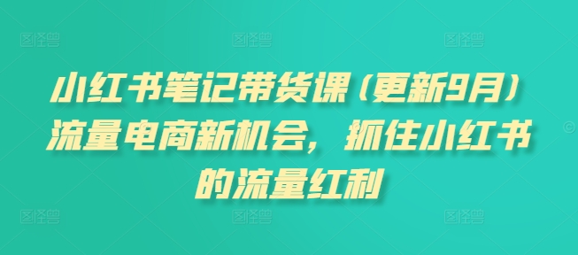 小紅書筆記帶貨課(更新9月)流量電商新機會，抓住小紅書的流量紅利插圖