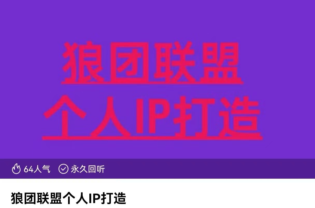 狼團(tuán)聯(lián)盟個人IP打造，個人IP變現(xiàn)全攻略：私域運(yùn)營,微信技巧,公眾號運(yùn)營插圖